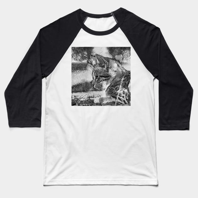 AnimalArtBW Cat 007 Baseball T-Shirt by JAMFoto